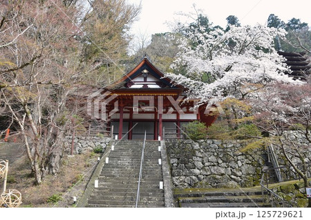 大和多武峰 談山神社 神廟拝殿 大和多武峰 談山神社 神廟拝殿 125729621