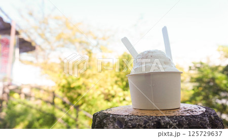 亀老山売店の玉藻塩アイス 125729637