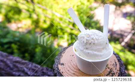 亀老山売店の玉藻塩アイス 125729638