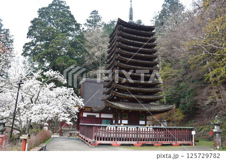 大和多武峰　談山神社　十三重塔 125729782