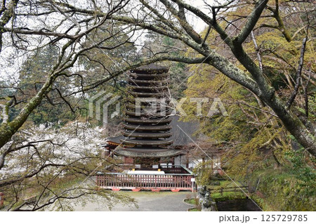 大和多武峰　談山神社　十三重塔 125729785