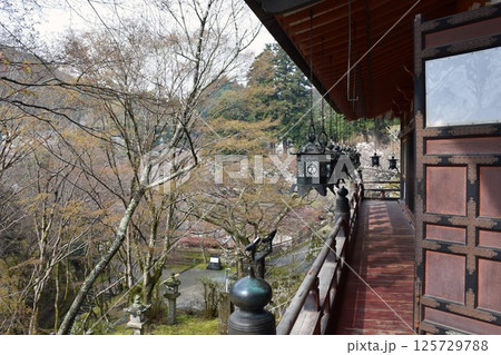 大和多武峰 談山神社 拝殿舞台 大和多武峰 談山神社 拝殿舞台 125729788