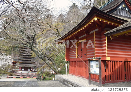 大和多武峰　談山神社　西宝倉 125729878