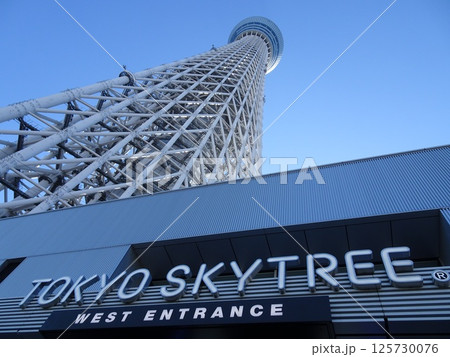 十一月の東京スカイツリー-6 十一月の東京スカイツリー-6 125730076