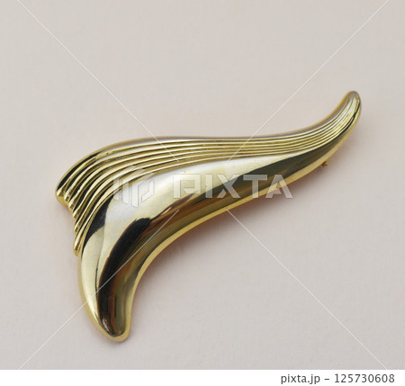 Chic handmade brooch fashion jewelry for women flat shot Chic handmade brooch fashion jewelry for women flat shot 125730608