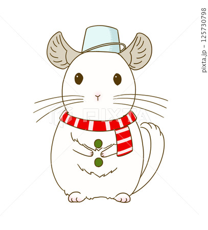 雪だるまの装いをするチンチラ(ホワイト) 125730798