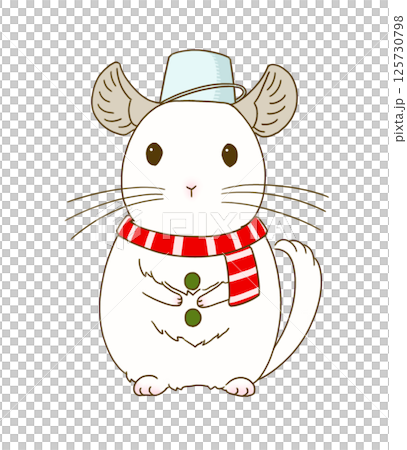 雪だるまの装いをするチンチラ(ホワイト) 125730798