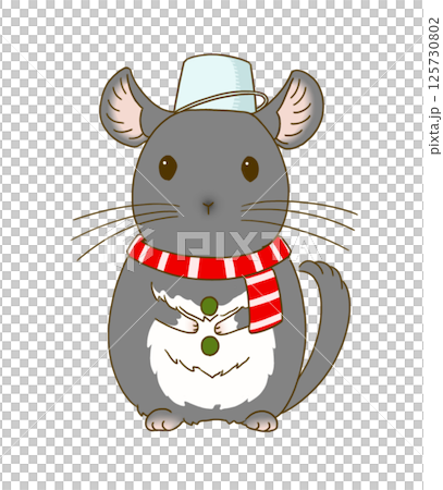 龍貓（黑絲絨）扮成雪人 125730802