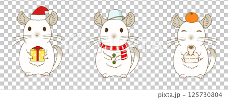 Winter chinchilla illustration set (pied) 125730804