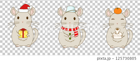 Winter chinchilla illustration set (beige) Winter chinchilla illustration set (beige) 125730805
