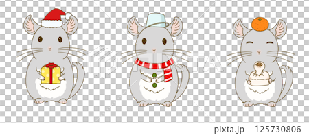 Winter chinchilla illustration set (gray) Winter chinchilla illustration set (gray) 125730806