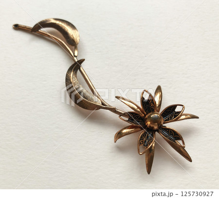 Elegant brooch vintage fashion jewelry for women flat lay 125730927
