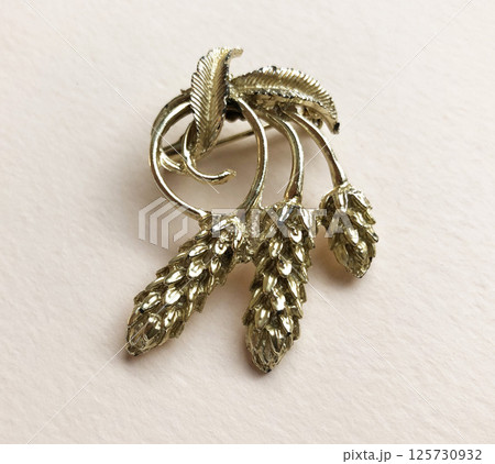 Brooch fashion jewelry flat product image for women 125730932