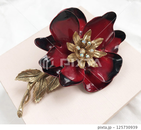 Fashion brooch detail photo for women vintage jewelry look Fashion brooch detail photo for women vintage jewelry look 125730939