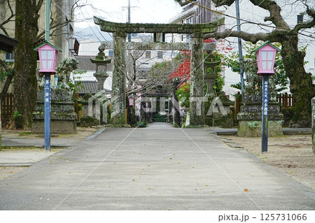 日本 佐賀 嬉野温泉 豊玉姫神社 鳥居 日本 佐賀 嬉野温泉 豊玉姫神社 鳥居 125731066