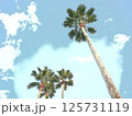 青空に向かって伸びていくヤシの木たち 125731119