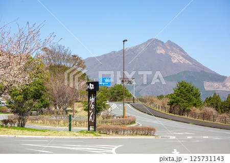 春の道の駅ゆふいん 125731143