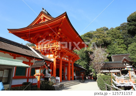 京都の世界遺産、上賀茂神社(賀茂大社) 125731157