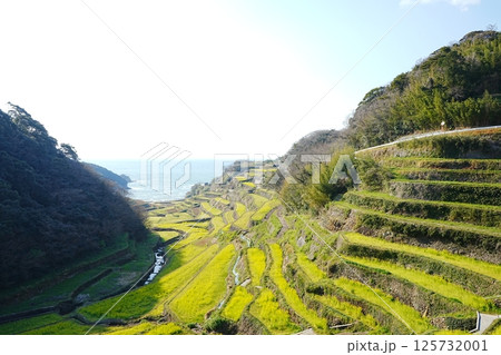 日本 長崎 土谷棚田 125732001