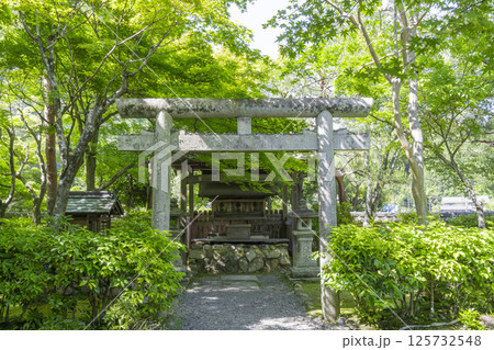 新緑の京都 あだし野念仏寺 天満宮 新緑の京都 あだし野念仏寺 天満宮 125732548