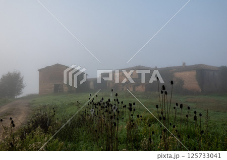 Foggy rural landscape with an abandoned farmhouse surrounded by green fields 125733041