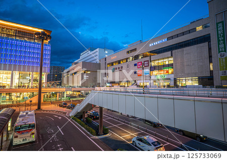 高崎駅西口 群馬県高崎市 高崎駅西口 群馬県高崎市 125733069