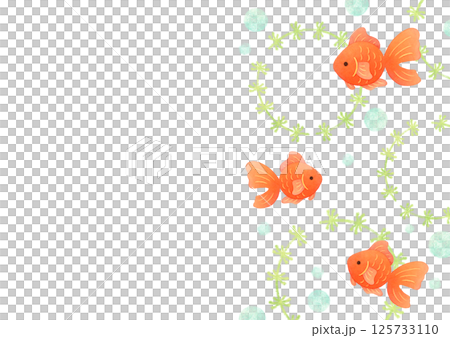 手描き風の可愛い金魚のフレーム 125733110