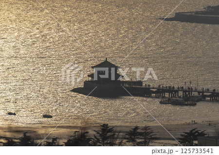 中国の青島 中国の青島 125733541