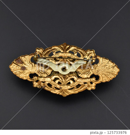 Jewelry photo floral brooch vintage detail womens accessory Jewelry photo floral brooch vintage detail womens accessory 125733976