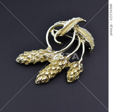 Feminine brooch with soft background vintage image 125734366