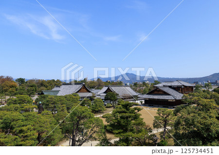 京都 春の二条城 本丸御殿 (京都府京都市中京区) 125734451