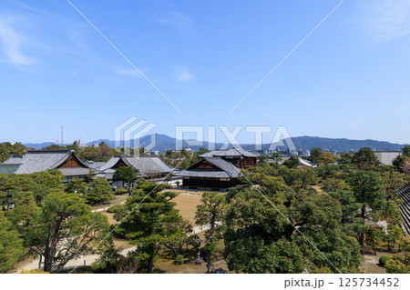 京都 春の二条城 本丸御殿 (京都府京都市中京区) 125734452