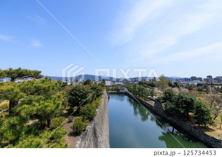 京都 春の二条城 天守閣跡からの眺め (京都府京都市中京区) 125734453