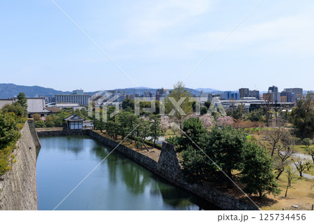 京都 春の二条城 天守閣跡からの眺め (京都府京都市中京区) 125734456