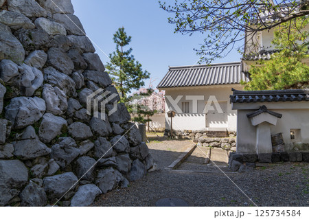春の大垣城内の景色 春の大垣城内の景色 125734584
