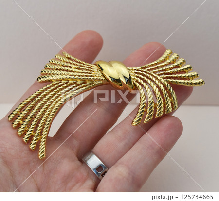 Jewelry brooch photo vintage look floral charm detail 125734665