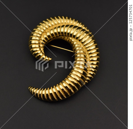 Retro brooch floral pattern jewelry photo for women Retro brooch floral pattern jewelry photo for women 125734701