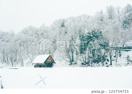 【岐阜県】雪の降る冬の白川郷・五箇山の合掌造り集落 125734733
