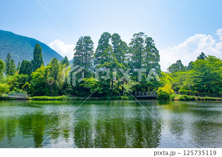 新緑の湯布院金鱗湖 125735119