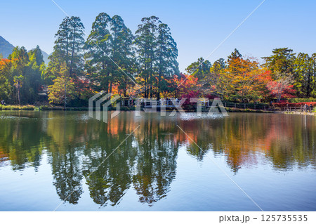 湯布院金鱗湖の紅葉 湯布院金鱗湖の紅葉 125735535