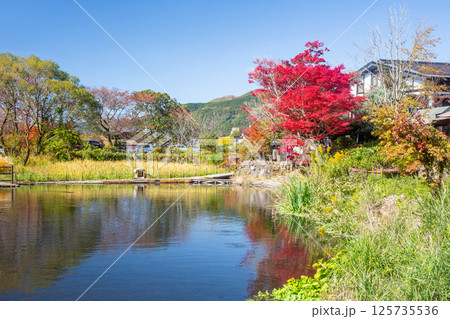 湯布院金鱗湖の紅葉 125735536