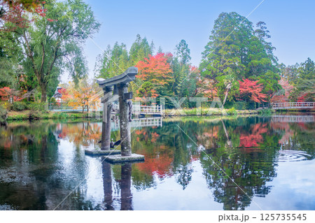湯布院金鱗湖の紅葉 湯布院金鱗湖の紅葉 125735545