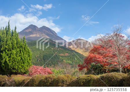 湯布院の紅葉と由布岳 125735558