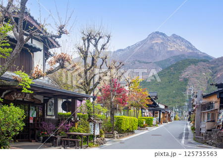 湯布院 湯の坪街道 湯布院 湯の坪街道 125735563