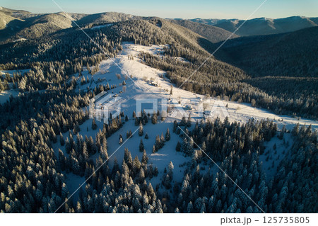 Aerial view of peaceful winter landscape with snow-covered fields and dense forest of pine trees. Small village nestled at base of hill, with distant mountains under blue sky creating serene scene. 125735805