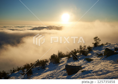 Snow-covered mountain slope at dawn, with scattered rocks and small trees adding texture to foreground. Sea of clouds below bathed in soft hues of blue and gold as sunlight gently illuminates scene. 125735858