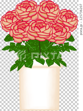 Beautiful blossom kordes jubilee rose in the creamy ceramic pot for decorate home or cafe or flower shop. 125736207