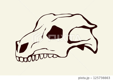Bones and skull of a horse. Vector drawing 125736663