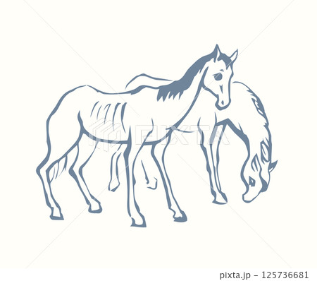 Starving skinny horse. Vector drawing 125736681