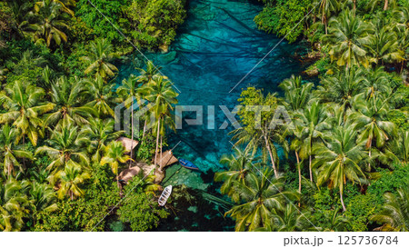 Transparent lake with crystal blue water in Indonesia. Drone view Transparent lake with crystal blue water in Indonesia. Drone view 125736784